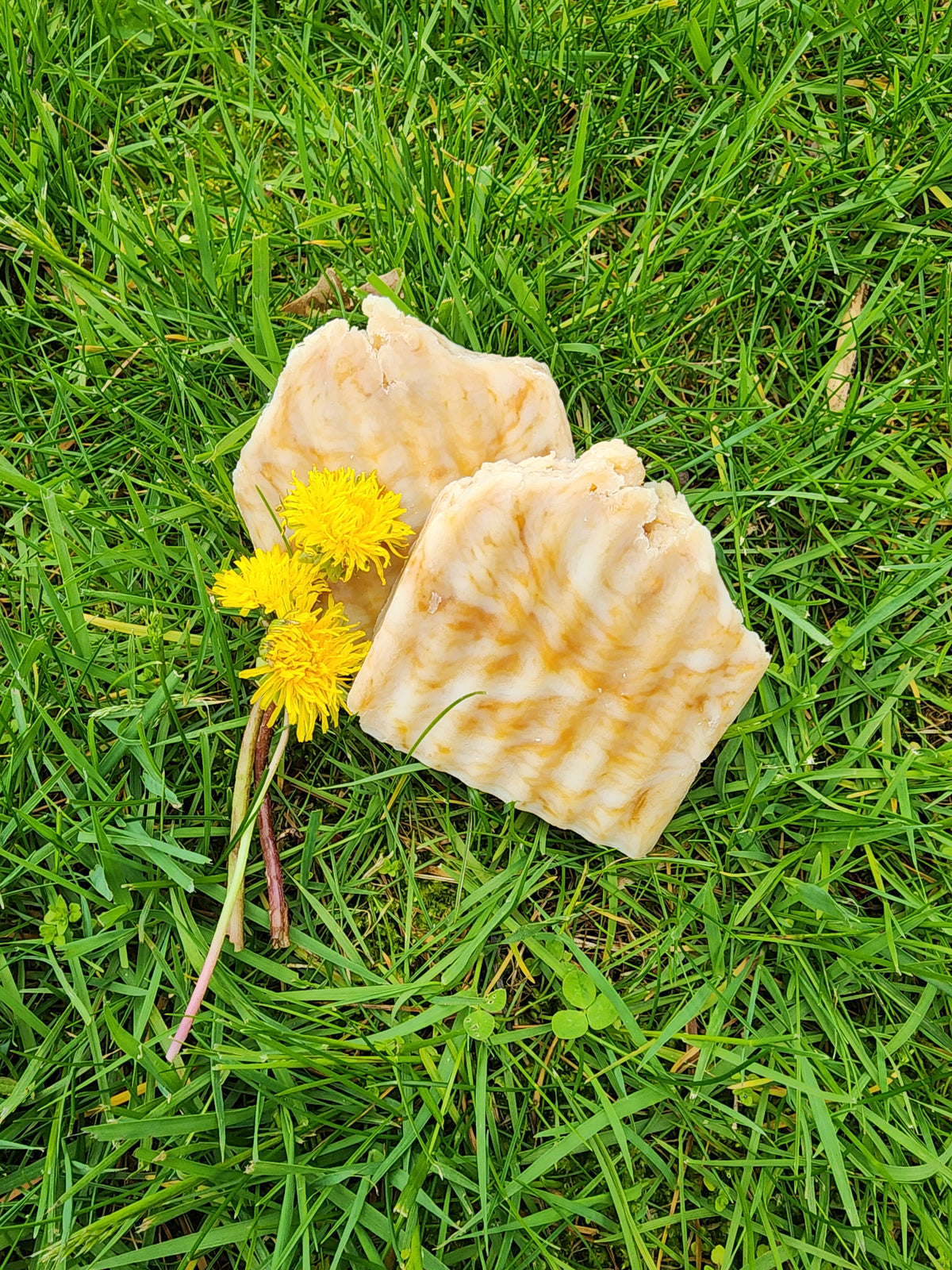 Dandelion & Honey Bar