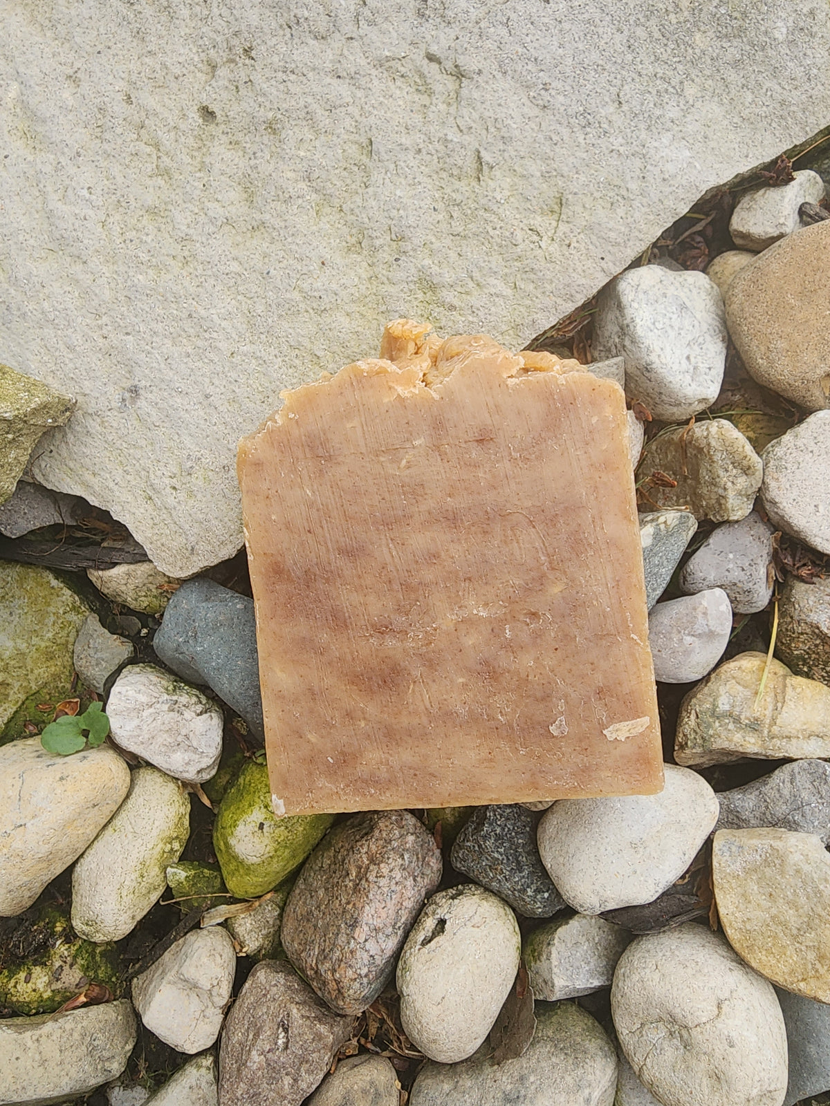Rejuvenating Aloe & Turmeric Bar
