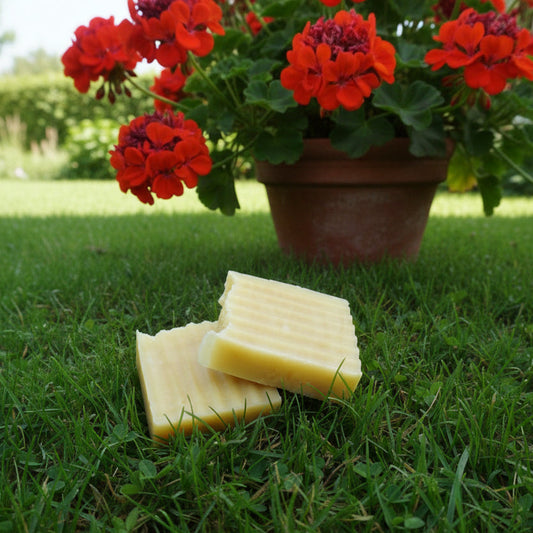 All Natural Pet Shampoo Bar